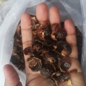 Soapnut Shells
