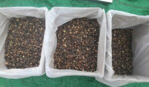 Soapnut shells export bulk packing